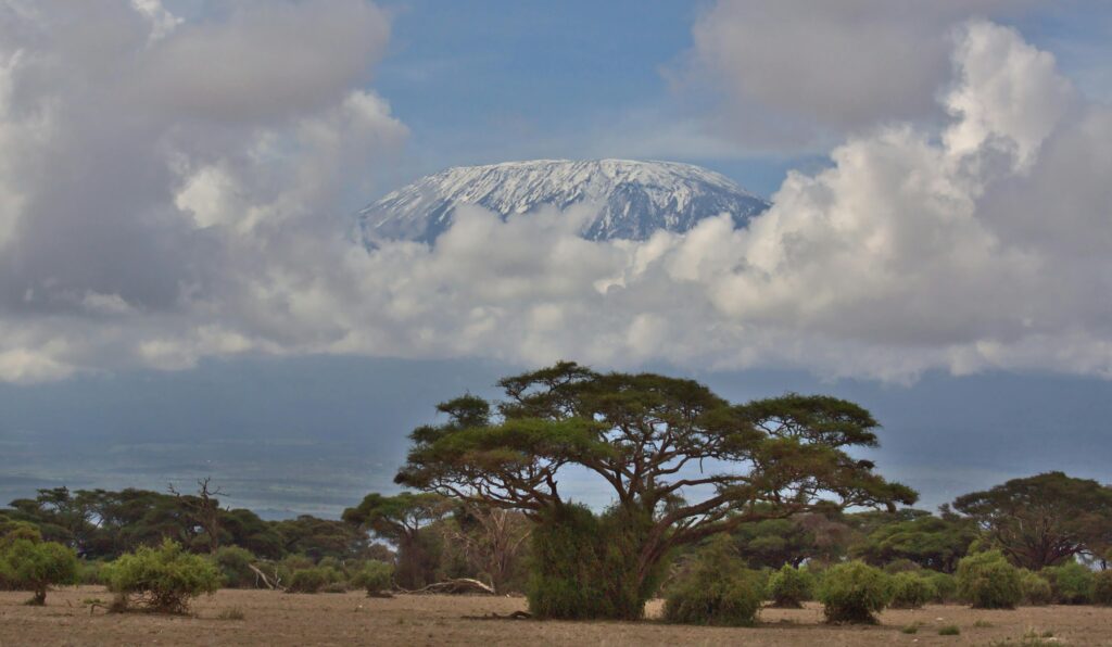 Scenic view of snowcapped Mount Kilimanjaro amidst clouds and acacia trees.